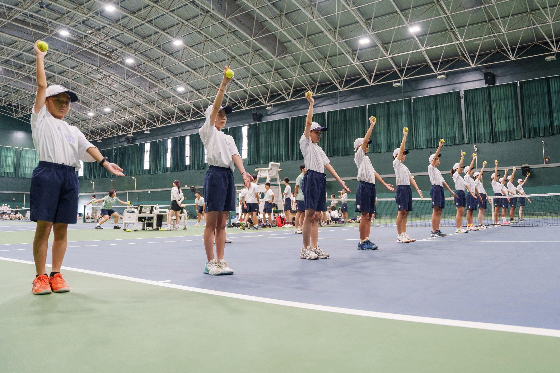 msn, 除了专业训 msn, 除了专业训